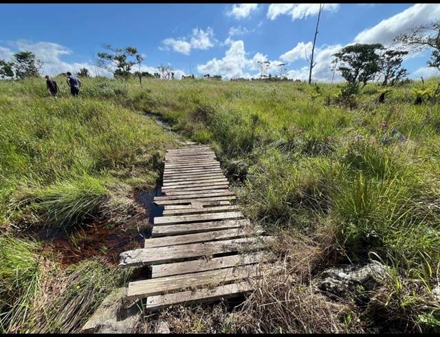 FARM FOR SALE IN BANNERS REST